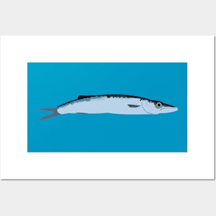 Pacific Saury Posters and Art